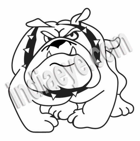 Vector Line Art Converter : Vector art convert jpg to raster editing services
